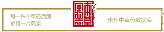 微信图片_20200209000402.jpg